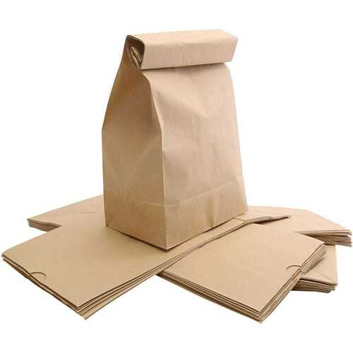 Eco Friendly Brown Paper Bag - Size: Casc