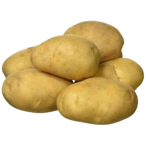 Fresh Potato