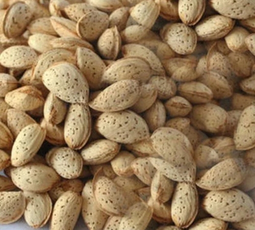 Shelled Almonds - 25 kg Organic Grade A | Premium Quality Rich in Protein Natural Flavor Crunchy Texture High in Fiber Roasted or Raw Non-GMO Heart-Healthy Nutrient-Dense Versatile Snack