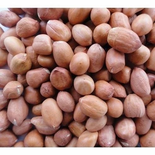 Agritech Groundnut Seeds - Whole With Skin, Kadiri Variety, 6 Months Shelf Life, Organic, Red Color, 100% Purity, A Grade, Natural Cultivation Type