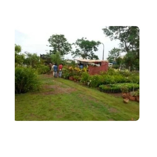 Expert Plant Care - Customized Garden Designs, Organic Gardening Solutions, Pest and Disease Control, Lawn Care and Maintenance, Eco-Friendly Practices