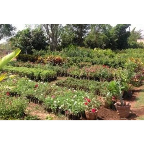 Landscape Gardening Development Service