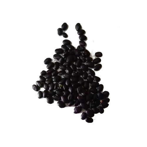 Black Bean - Dried, Black Color | Nutrient-Rich, High Protein, Low Fat, Excellent Fiber Source, Antioxidant-Rich, Heart Health Support, Weight Management Aid, Immunity Booster, Deliciously Satisfying