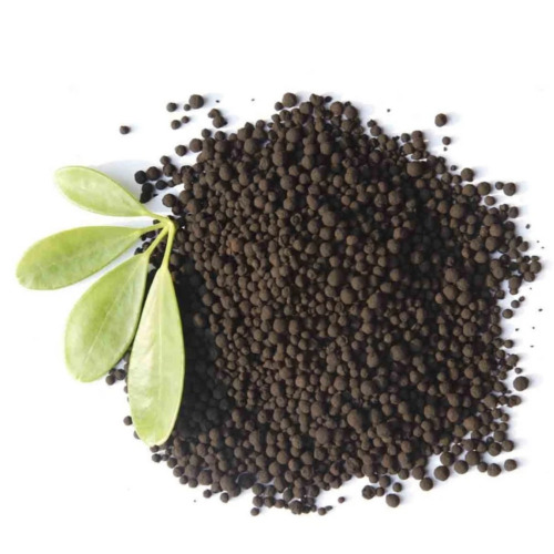 Humic Acid Granules - 98% Purity, Black Color, Slow Release, Water Soluble | Ideal for Vegetables, Store in Dry Place, Granular Form