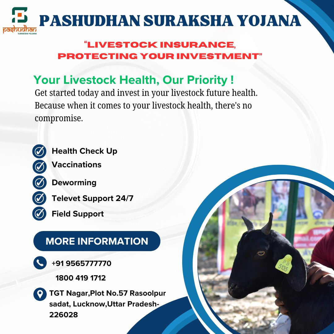 Livestock Insurance
