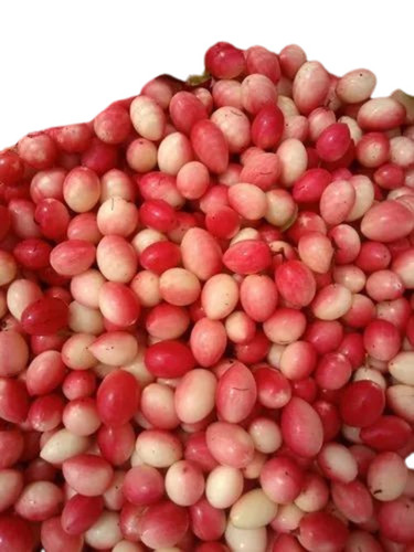 Refind Karonda Cherry - Fresh Sweet Cherries, Red & White Color | Whole Fruit, Very Good Quality, 100% Purity, Health Benefits, Standard Size, 10 Days Shelf Life, Oval Shape