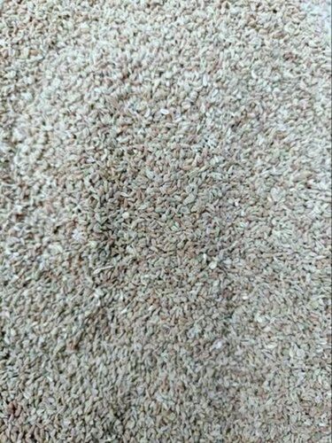 Fresh Ajwain - Natural Dried, 100% Pure Whole Granules | Very Good Quality, Good For Health, Brown Color, Grade A, Raw Processing, Ideal For Food Use