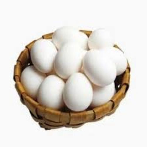 Poultry Eggs - Medium Oval, 100% Pure White | High In Protein, Nutrition Enriched, Healthy, Easy To Cook