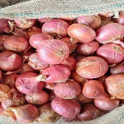 Fresh Onion - A Grade Natural Quality, Round Shape, Raw Processing Form, 10 Days Shelf Life