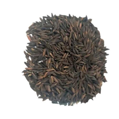 Organic Black Rice Seed