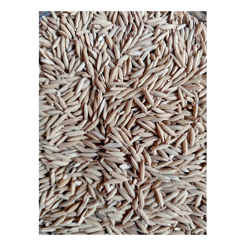 Red Rice Seeds