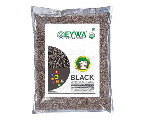 Black Wheat Grains