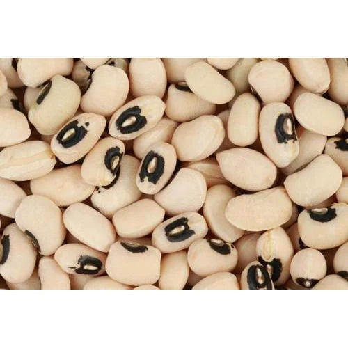 Cow Pea Seed - Grade: A+