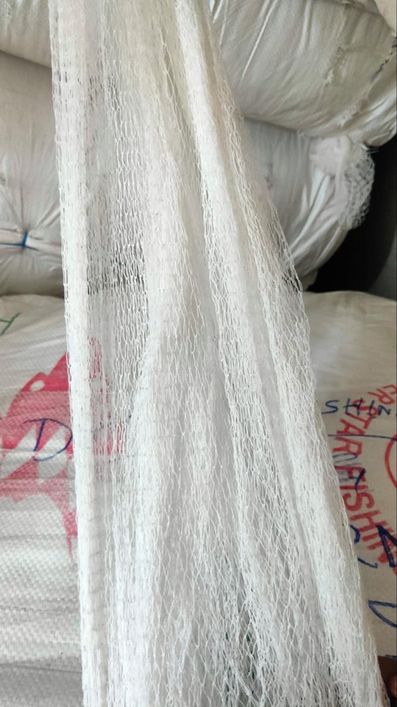 Fish Net