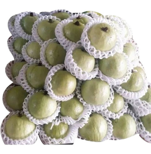 Fresh Guava - Very Good Quality 100% Pure Sweet Green Fruit Non-Peeled Round Shape Standard Size 10 Days Shelf Life Good for Health