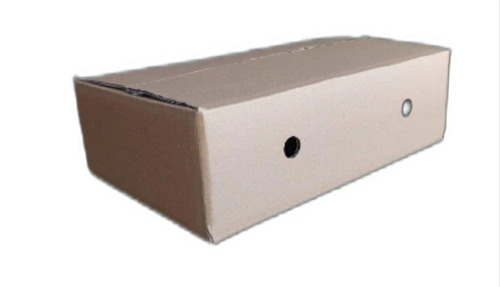 Fruit Corrugated Packaging Boxes - Kraft Paper, Rectangle, White | Eco-Friendly, Durable, Ideal for Gift & Crafts, Personal Care Applications