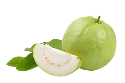 Green Fresh Guava