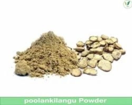 White Turmeric Powder