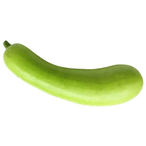 Dudhi Bottle Gourd - A Grade, Green Color, Fresh Raw Vegetable | Hydrating, Low Calorie, Rich In Vitamins, Aids Digestion, Boosts Immunity, Promotes Skin Health, Anti-inflammatory, Natural Detoxifier, Heart-healthy