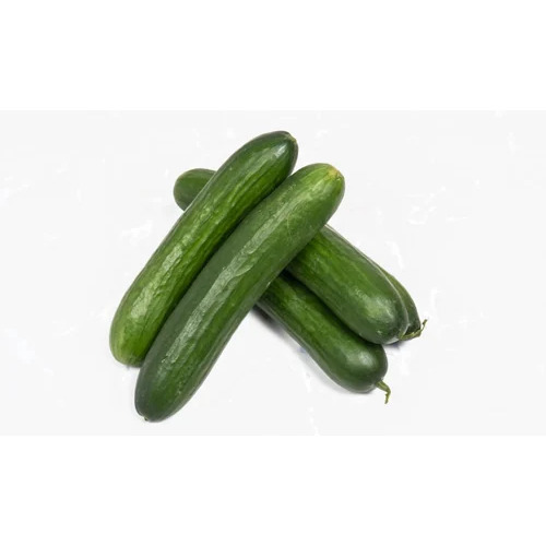 English Cucumber