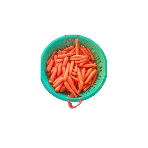 Fresh Orange Carrot