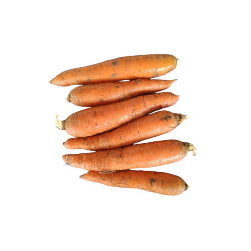 Fresh Red Carrot