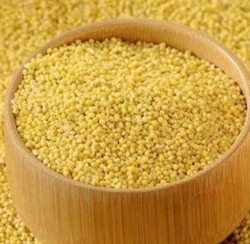 Organic Barnyard Millet