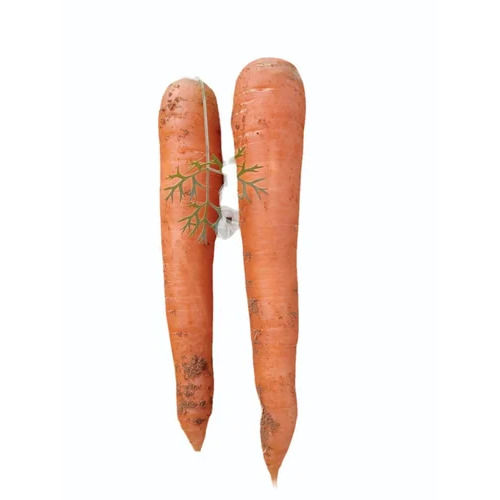 Organic Fresh Red Carrot - 60 Kg A Grade Quality, Nutrient-Rich Powerhouse for Immunity Boost and Skin Health