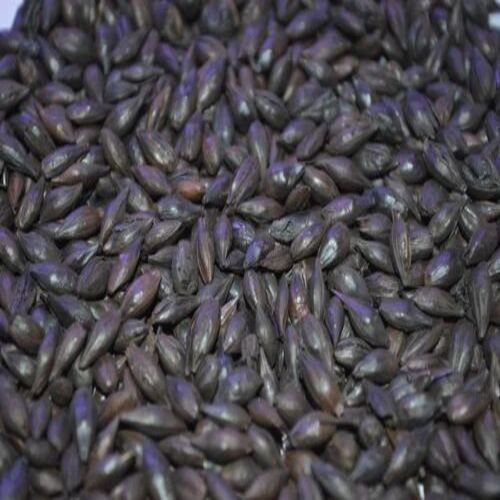 Roasted Barley Malt