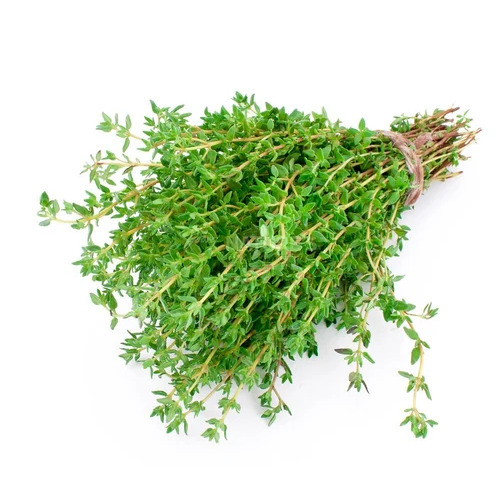 Summer Thyme - FSSAI Certified, A Grade Fresh Leaves | Aromatic, Flavorful, Boosts Immunity, Aids Digestion, Anti-inflammatory, Rich in Antioxidants, Freshens Breath, Enhances Food Flavor