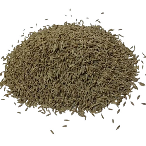 Brown Cumin Seed - Dried Granules, Organic Fresh Quality | No Artificial Color, Natural Taste, Grade A