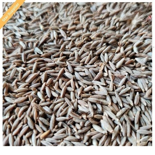 Cumin Seed Jeera - Color: Brown