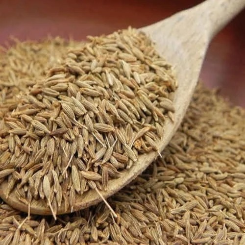 Cumin Seeds - Organic Dried Granules, Fresh Raw Grade A Brown, No Artificial Color, Natural Taste