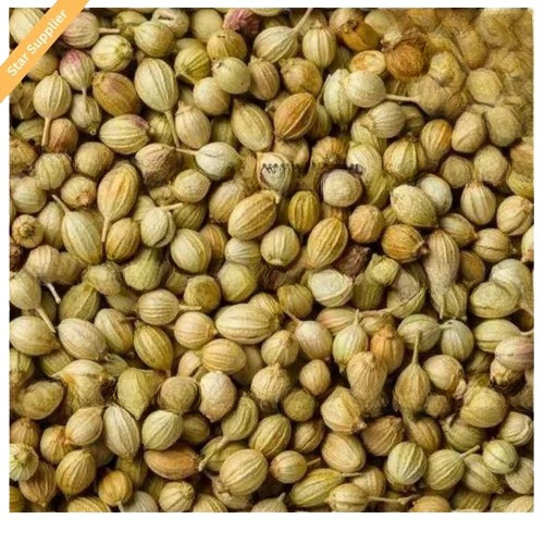 Fresh Coriander - Natural Dried Whole Spice, Very Good Quality, 100% Pure, Light Brown Color, Round Shape, Food Grade, Good for Health