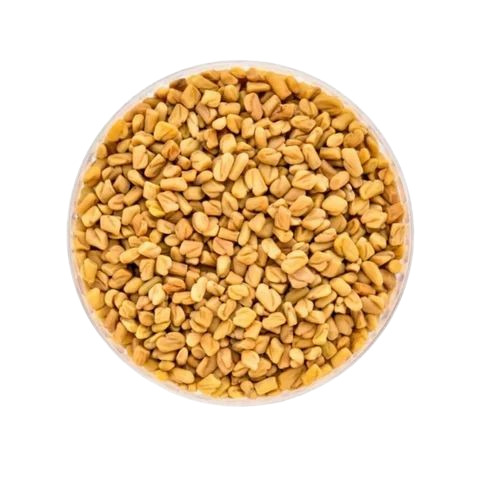 Indian Fenugreek Seed - 100% Pure, Natural Dried, Whole Elongated Yellow Grains | Very Good Quality, Good for Health, Food Grade, Store in Cool & Dry Places