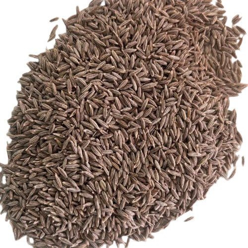 Organic Cumin Seed By Bharat Agri Exports