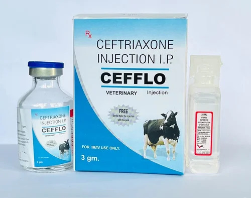 3gm Ceftriaxone IP Veterinary Injection