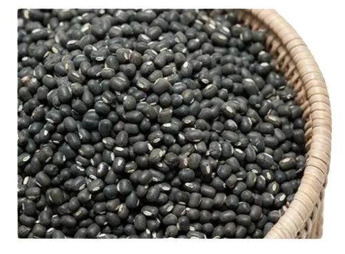 Black Urad Dal - Whole Lentils, Natural Dried, Very Good Quality, Good for Health, 100% Pure, Standard Grain Size, Oval Shape