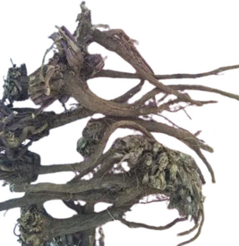 Dried Akarkara Roots