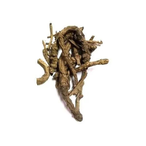 Dried Kutki Root