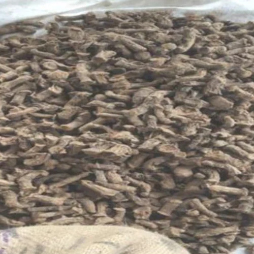Dry Sugandh Mantri Root - 50 kgs, Solid Black Root | Ayurvedic Medicine Grade, 24 Months Shelf Life, Dry Extract Type