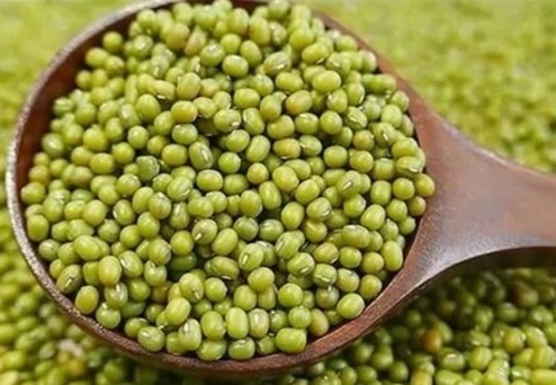 Green Moong Dal - Natural Dried Mung Beans, 100% Pure and Good for Health, Fresh and Very Good Quality