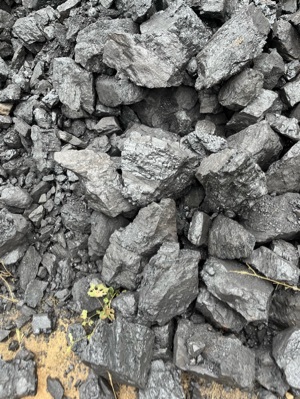 Industrial Steam Coal