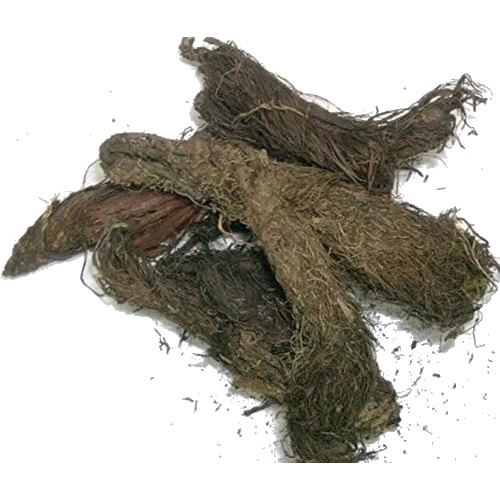 Jatamansi Musk Root
