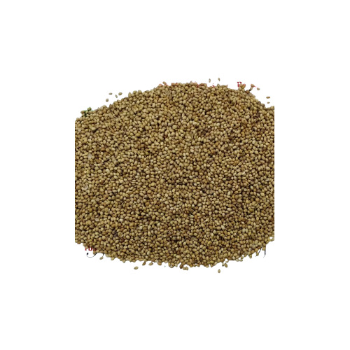 Organic Coriander Seed - 0.2% Moisture, Pure & Natural, Chemical-Free, Antioxidant-Rich, Aromatic & Flavorful, Non-GMO, Ethically Sourced, Long Shelf Life