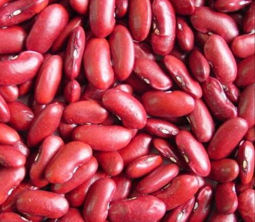 Red Kidney Beans - Natural Dried, Very Good Quality, 100% Purity | Good For Health, Standard Size, Deep Red Color, Grade A