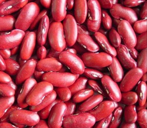 Red Kidney Beans - Natural Dried, Very Good Quality, 100% Purity | Good for Health, Standard Size, Deep Red Color, Grade A