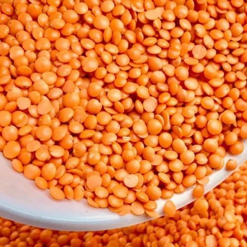 Red Masoor Dal - Whole Lentils, Natural Dried, Very Good Quality, Fresh, Good for Health, 100% Purity, Standard Grain Size