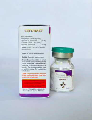 Veterinary Ceftriaxone Sulbactam Injection