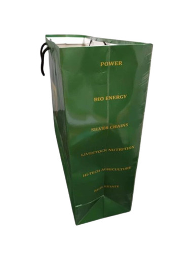 Duplex Paper Carry Bags - 5 Kg Capacity, 16x12 Inches Size | Biodegradable, Moisture Proof, Recyclable, Printed Design